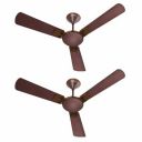 Havells Enticer Art Heritage 1200mm 2 Star Energy Saving Ceiling Fan (Brown Copper, Pack of 2)...