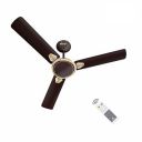 Havells Equs Decorative BLDC 1200mm Energy Saving with Remote Control 5 Star Ceiling Fan (Smoke Brown, Pack of 1)...