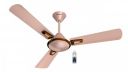 Havells Festiva Prime Decorative BLDC 1200mm Energy Saving with Remote Control 5 Star Ceiling Fan (Beige Cola Chrome, Pack of 1)...