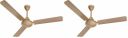 Havells Mozel XP 1200mm Ceiling Fan, Best in Class Base Fan Desert Gold (Pack of 2)...