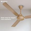 Havells Mozel XP 1200mm Ceiling Fan, Best in Class Base Fan | 2 Year Warranty | Desert Gold...