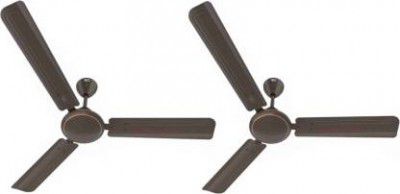 HAVELLS Reo Tajes 1200 mm 3 Blade Ceiling Fan 