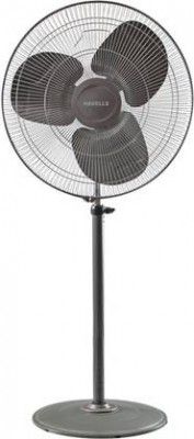 HAVELLS Windstorm Pro 500 mm 3 Blade Pedestal Fan  (Charcoal Grey | Pack of 1)