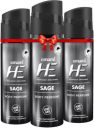 HE Sage Deodorant Spray - For Men  (120 ml, Pack of 3)...