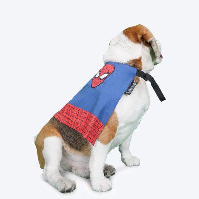 Heads Up For Tails Exclusive - X ©Marvel Spider Man Cape - S