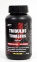Healthvit Fitness Tribulus Terrestris 1000mg Maximum Strength (40% Saponins) | Helps Muscle Development | Enhance Sports Performance - 90 Tablets...