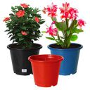 Heart Home Durable Plastic Flower Pot|Gamla for Indoor Home Decor & Outdoor Balcony,Garden,6"x5",Pack of 3 (Black,Blue,Red)...