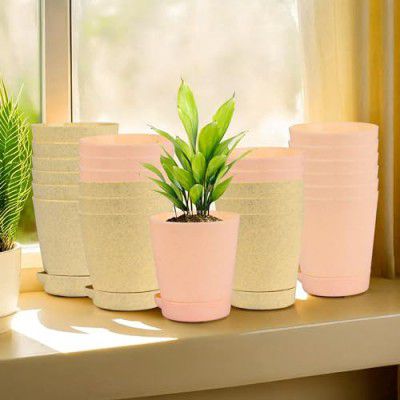Heart Home Pack of 24 Flower Pot | 4 Inch 