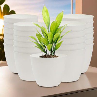 Heart Home Pack of 24 Flower Pot | 5 Inch