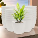 Heart Home Pack of 24 Flower Pot | 5 Inch...