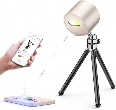 heimdekor LaserPecker 1 Portable Mobile Engraving Printer (Gold)
