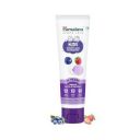 Himalaya Kids Bubble Gum 80g | 2 to 12 Years | Fruity Flavours...