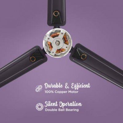 Hindware Caeli 1200 mm Silent Operation 3 Blade Ceiling Fan  