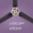 Hindware Caeli 1200 mm Silent Operation 3 Blade Ceiling Fan  ...