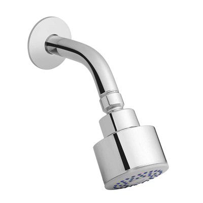 Hindware F920011CP Brass Shower Overhead, silver, Chome Finish
