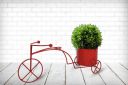 HINS Cycle Metal Pot For Indoor & Table (Red, Medium) Metal Pots For Indoor Plants...