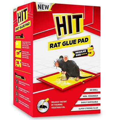 HIT Rat/Mouse Glue Pad - No Smell, Non Poisonous, Easy to Use (Pack of 5 Regular Size)