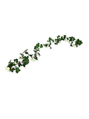@home by Nilkamal Rose Creeper White
