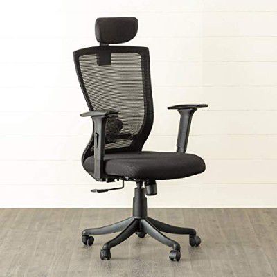 Home Centre Antonio Nylon & ABS Solid High Back Mesh Office Chair (Black)