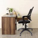 Home Centre Aurora Mesh Medium Back Office Chair - Black...