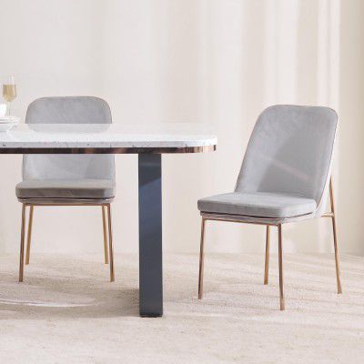 Home Centre Dining Chair Terraroza Metal 2 Dining Chairs | Metal Dining Chairs for Dining Room|(Grey) 1 Year Warranty