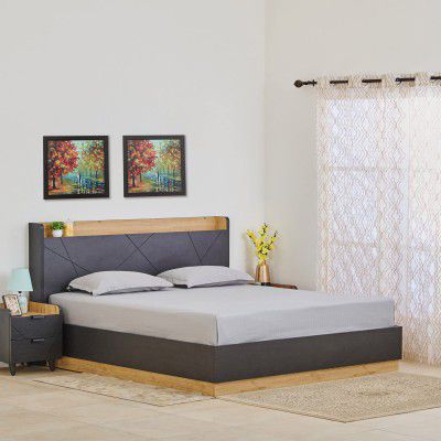 Home Centre Kiro Titan Brown Oakwood Queen Bed with Headboard and Hydraulic Storage - 156x199cm