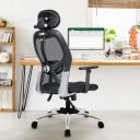 HOME PERFECT Metal Executive Ergonomic Office Chair Height Adjustable Seat, Push Back Tilt Feature Study Chairs- Black (Hp 001)...