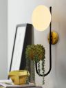 Homesake White & Brown Bedroom Wall Light With Storage Plantar...