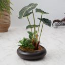 HomeTown Ilana Faux Alocosia Ceramic Potted Plant 33 Cm in Green Colour...