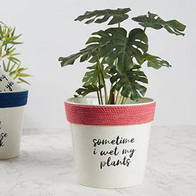 HomeTown Pep Pop Metal Funky Quote Planter 19Cm in Off White & Fuchsia Colour