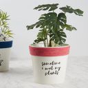 HomeTown Pep Pop Metal Funky Quote Planter 19Cm in Off White & Fuchsia Colour...