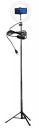 House of Quirk 10 Inches LED Ring Light with Stand...