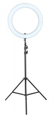 House of Quirk 18 Inches LED Ring Light with Stand for Camera Smartphone