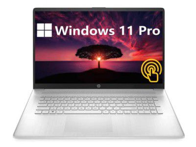 HP [Windows 11 Pro 17.3" HD Touchscreen Business Laptop, AMD Ryzen 5-5500U, 32GB RAM, 1TB SSD, HDMI, WiFi, Type-C, Full-Size Keyboard, Numeric Keypad, Long Battery Life, USB Business Card