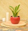 Hudson Iron Red Desk Pot...