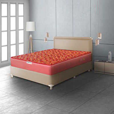 Hypnos Caspio Ortho 6 Inch Medium Firm Single Size Bonnell Spring Mattress Maroon (80X36X06)