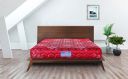 Hypnos Mirage 06 inch Medium Firm Single Size PU Foam Mattress (78X42X06_Maroon)...