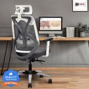 IAFA Ergolux High Back Ergonomic Office Chair with Ad Heavy Duty Metal Base Mesh Office Adjustable Arm Chair (White, Grey, DIY(Do-It-Yourself))...
