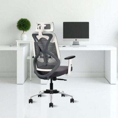 IAFA FURNITURE Ergolux Ergonomic Premium Office Chair (Grey)