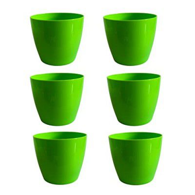 Indian Gardens - Titan 5 | Indoor Plastic Small Colour pots | Home & Office Decor (Green, Pack of 6)