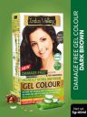 Indus Valley Damage Free Gel Hair Colour 65 g - Dark Brown 3.0...