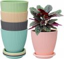 INKULTURE Flower Pots with Bottom Plate Tray | 05 Pcs | Multicolor...