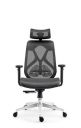 INNOWIN Berlin Ergonomic High Back Office Chair-(Black)...