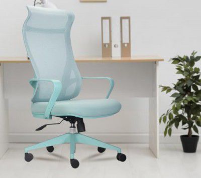 INNOWIN Flamingo Ergonomic Office Chair (Mint Green)