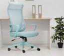 INNOWIN Flamingo Ergonomic Office Chair (Mint Green)...