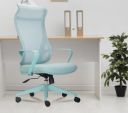 INNOWIN Flamingo High-Back Ergonomic Home Office Chair | 3-Years Limited Warranty Included | Tilting & Height Adjustable Mechanism, Heavy Duty Metal Base | Ideal for Office Work & Study (Mint Green)...