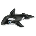 Intex Whale Ride On, Multi Color...