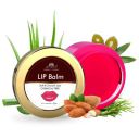 INTIMIFY Natural Lip Balm Dark Lips to Lighten | 8 gm (Pack of 1)...
