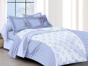 IVAZA 100% Cotton Queen Size Bedsheet for Double Bed (Double, White & Blue)...