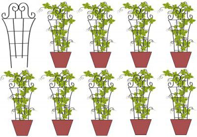 Jabox Strongest Rust Less Metal Trellis Plant Support, Plant Supporters for Climbing Vines and Plants, Dark Grey, 50 X 25 cm (JDT-01, Pack of 10)